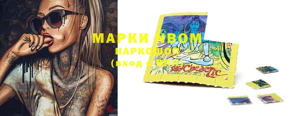 гидра Алексеевка