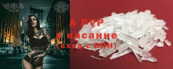 гидра Корсаков