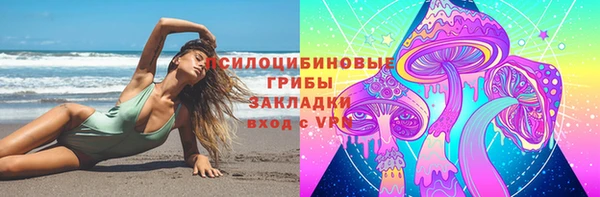 дурь Алзамай